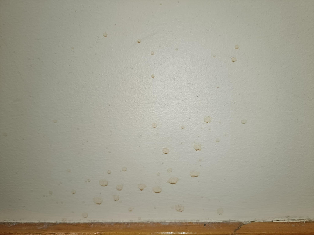 Willows Motel Goulburn主图