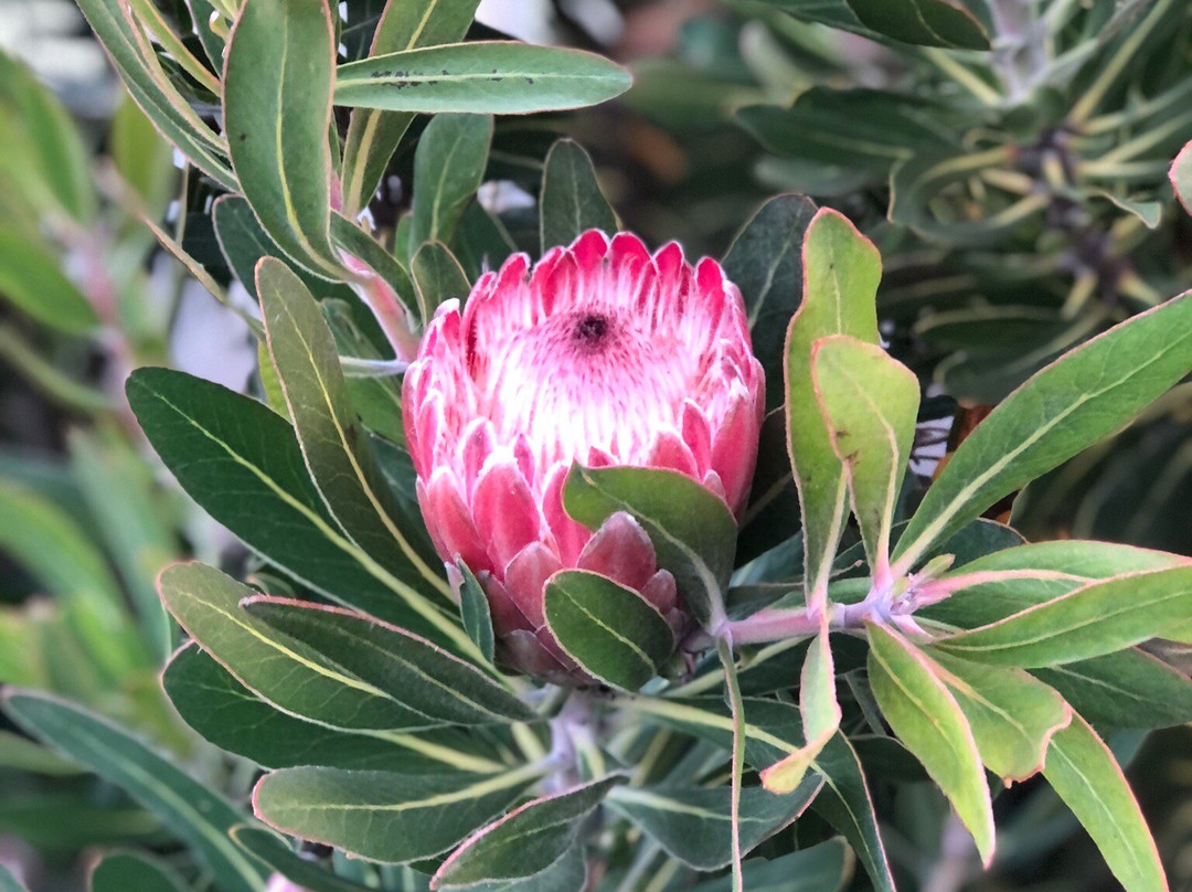 艾斯汽车旅馆主图