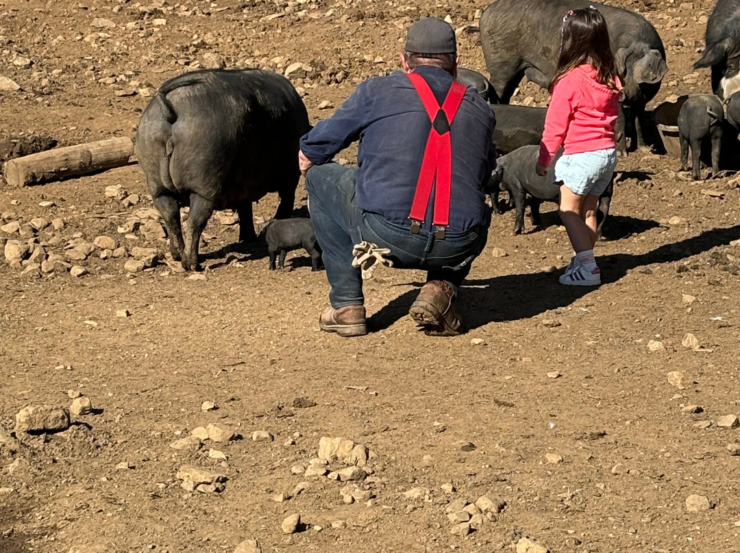 Belding Hill Farms-Hampton必去景点