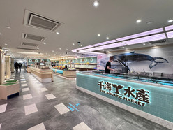 Gallery 1