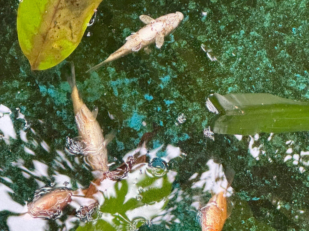 Casa Lima B & B主图