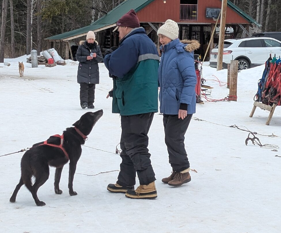 White Wilderness Sled Dog Adventures-伊利必去景点