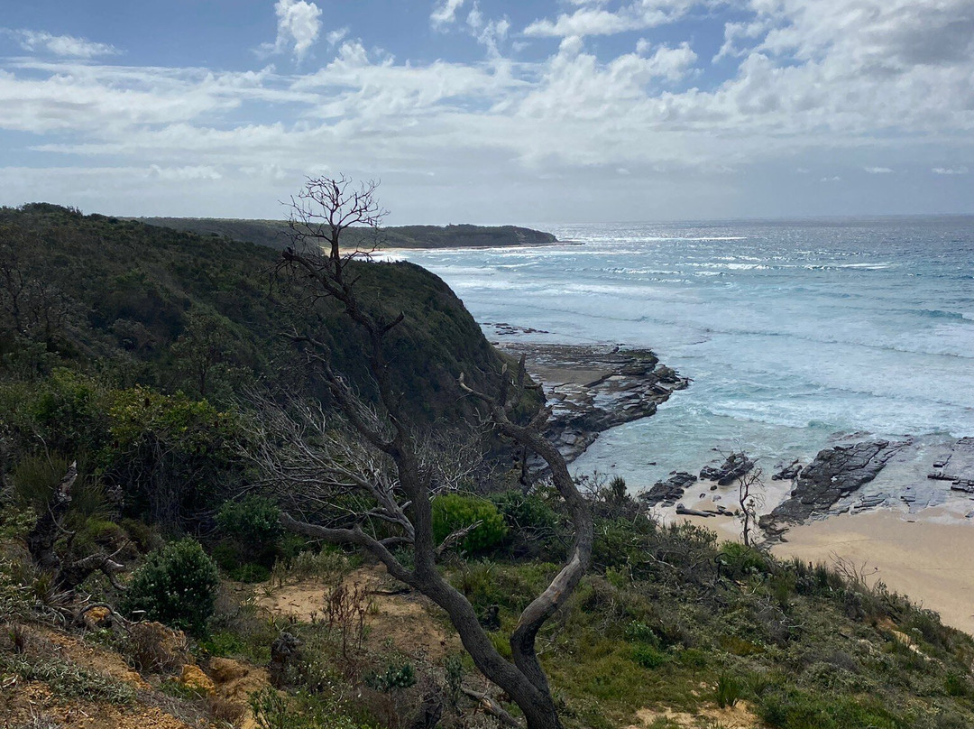 South Pacific Heathland Reserve景点图片