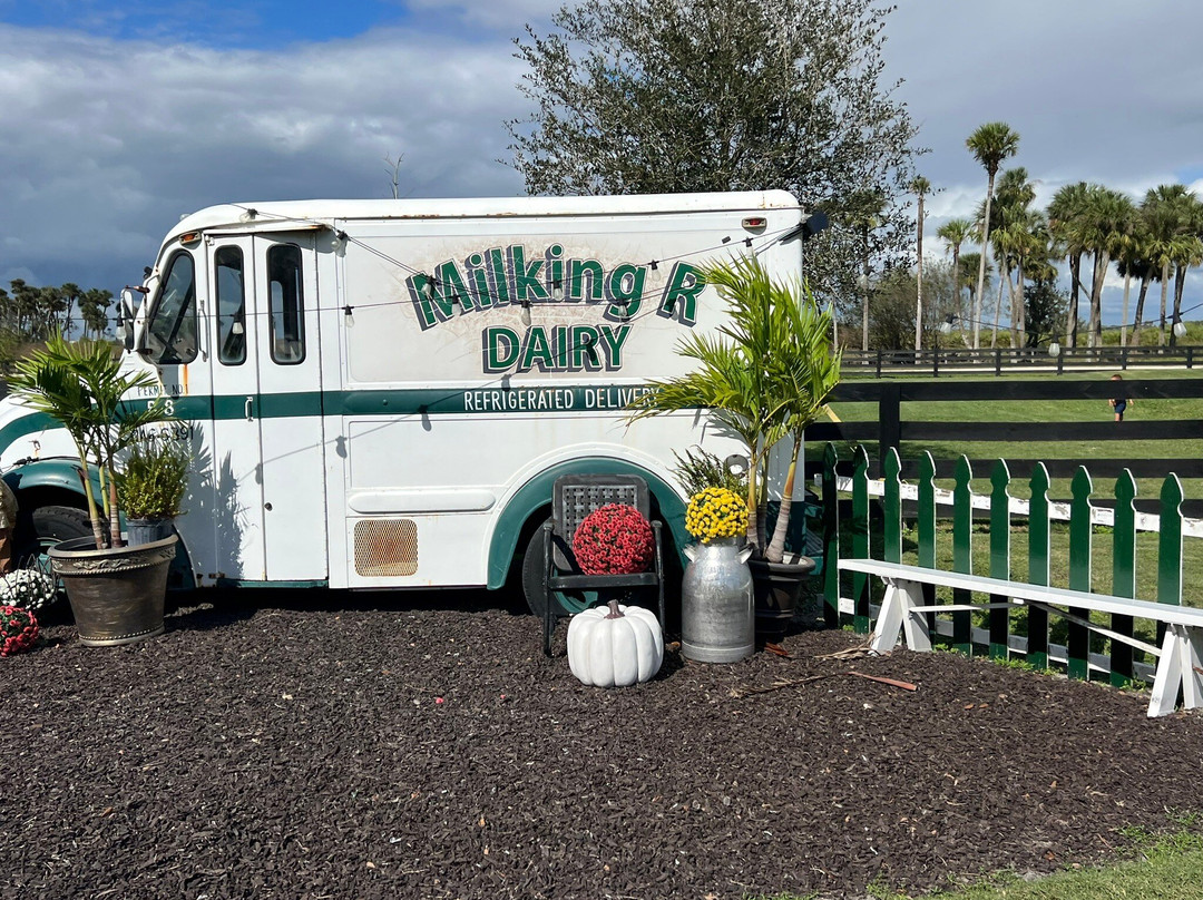 Sutton's Milk And Ice Cream主图