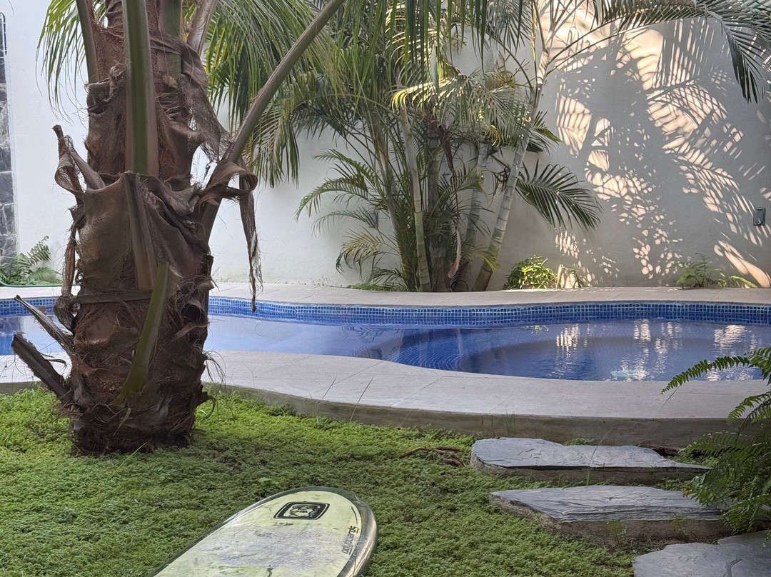 Canek Surfschool & Surfboard Rental景点图片