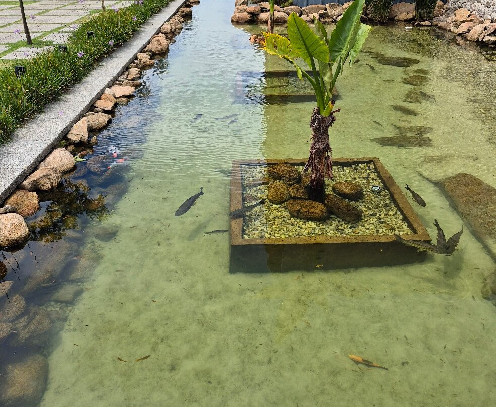 Vinícola Amana-Espirito Santo Do Pinhal必去景点