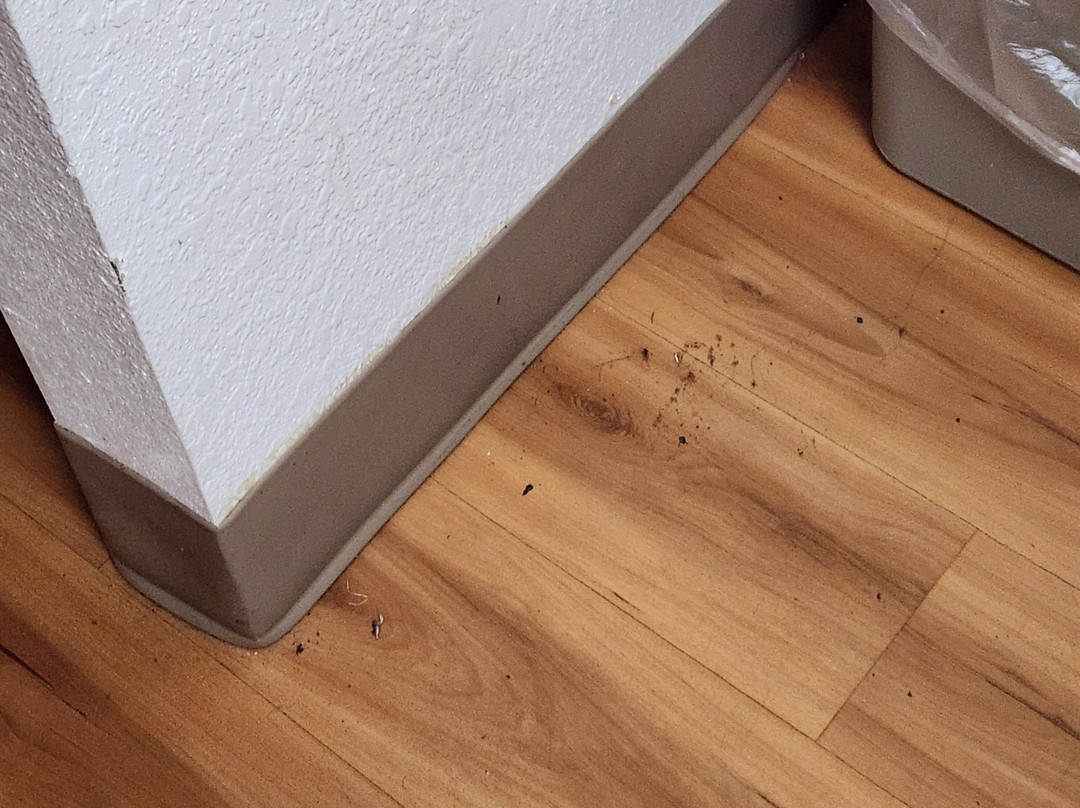 Motel 6 Youngstown主图