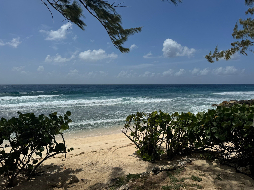 Hastings Beach-Hastings必去景点
