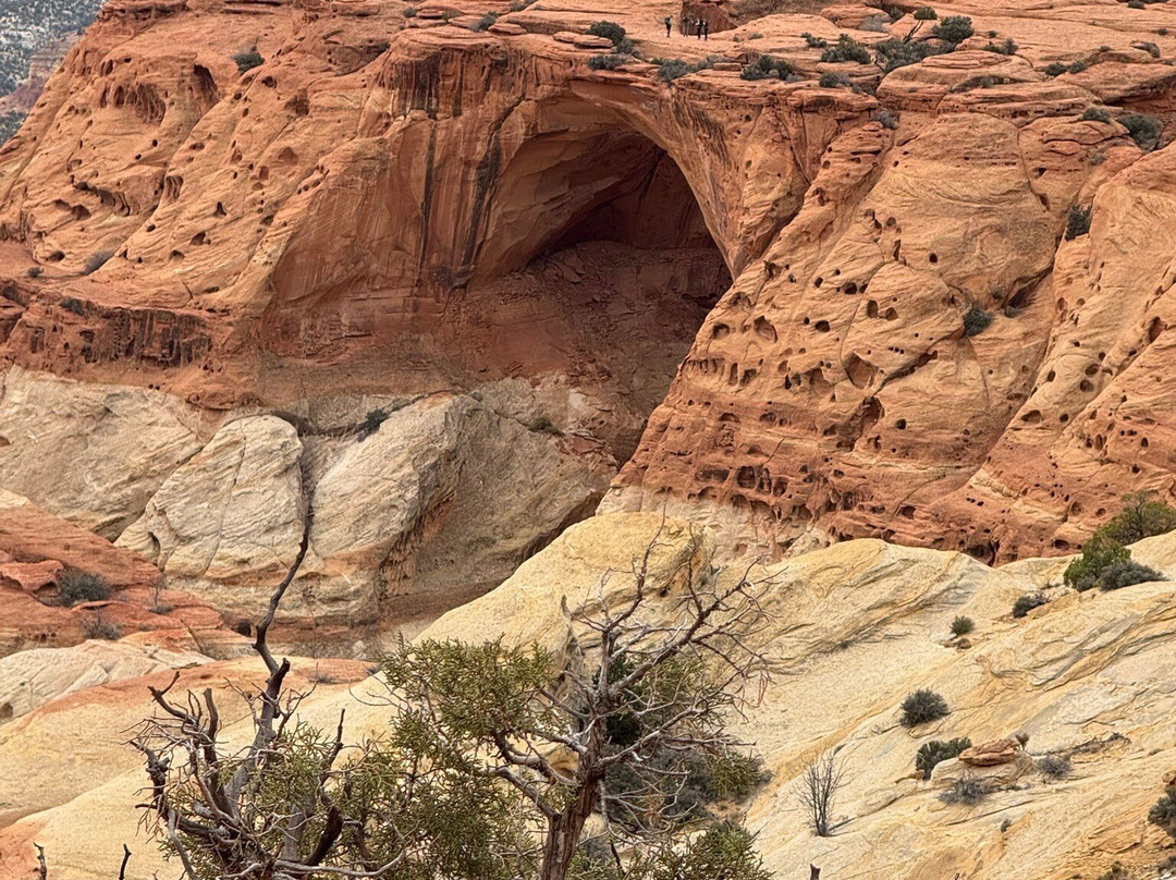 Cassidy Arch-圆顶礁国家公园必去景点