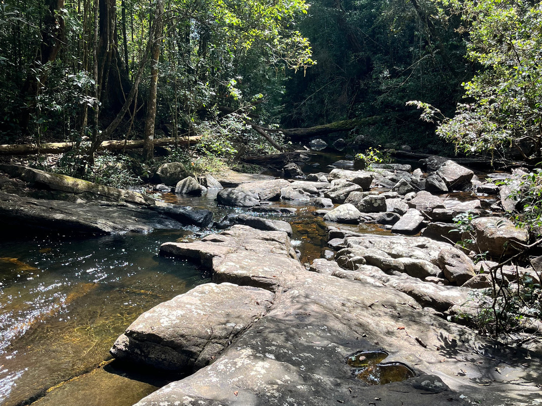 Sinharaja Rainforest Kurulugala Entrance景点图片