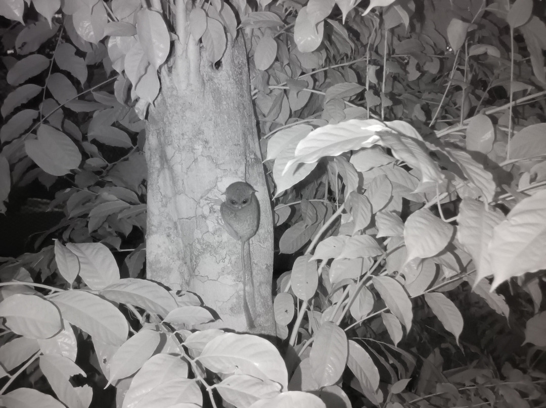 Batu Mentas-勿里洞岛必去景点