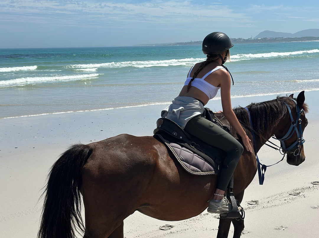 Gansbaai & Pearly Beach Horse Trails-干斯拜必去景点