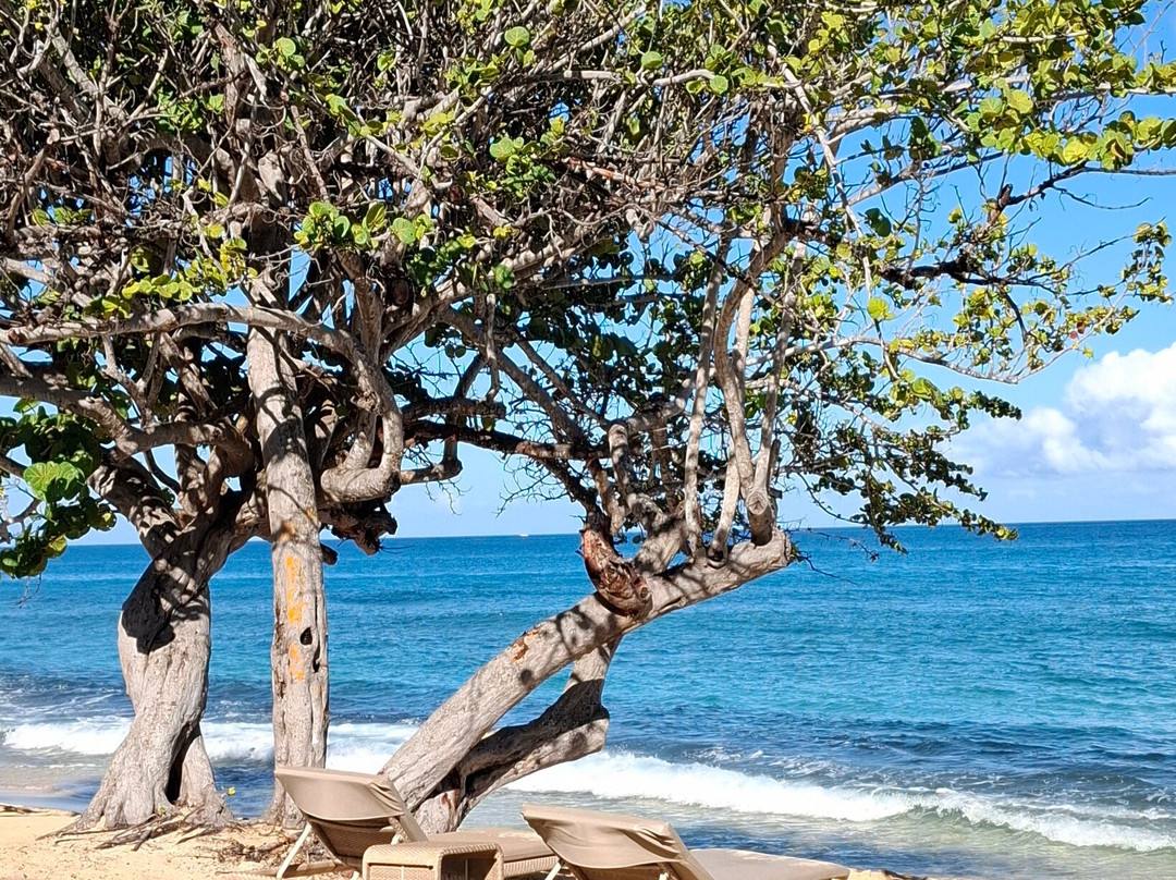 Royalton Grenada Beach景点图片