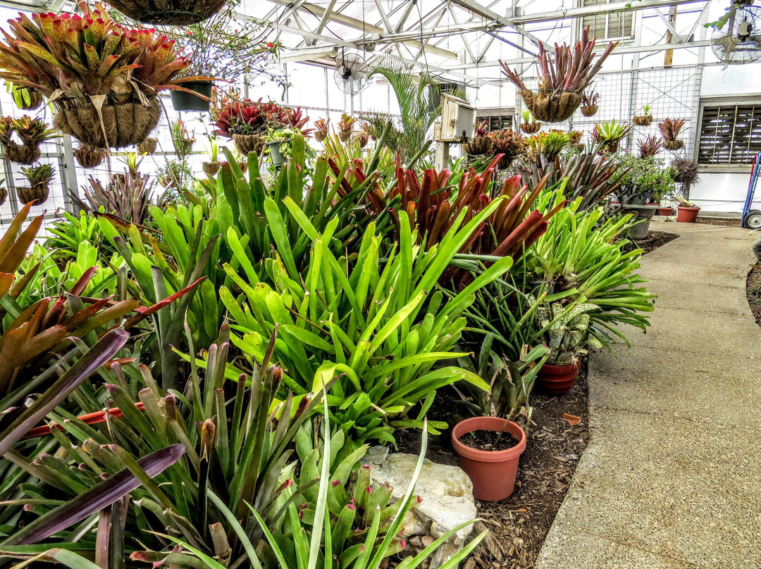 South Texas Botanical Gardens & Nature Center-科珀斯克里斯蒂市必去景点