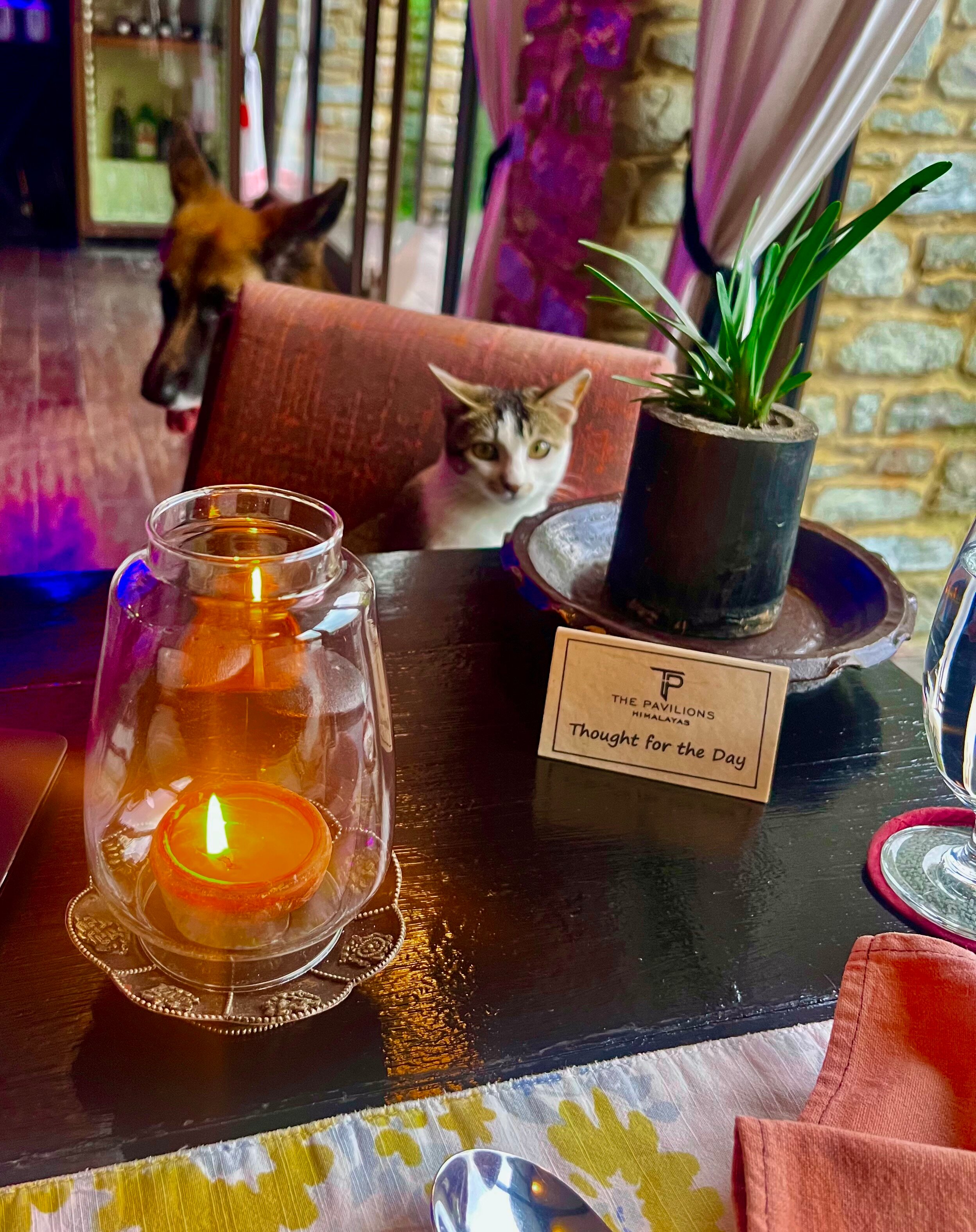 喜马拉雅山亭阁旅馆-官方