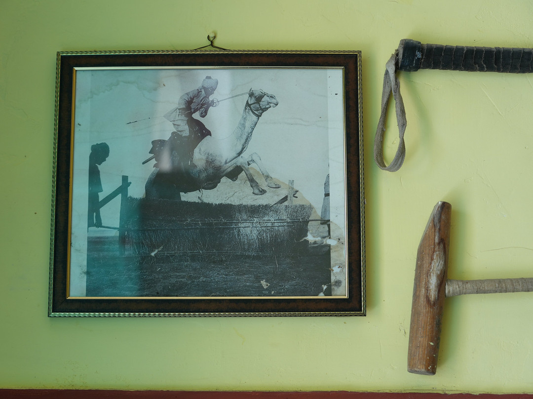 托迪加酒店主图