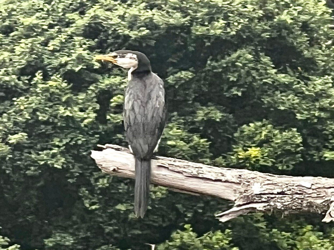 Kangaroo Valley Adventure Co.-袋鼠谷必去景点