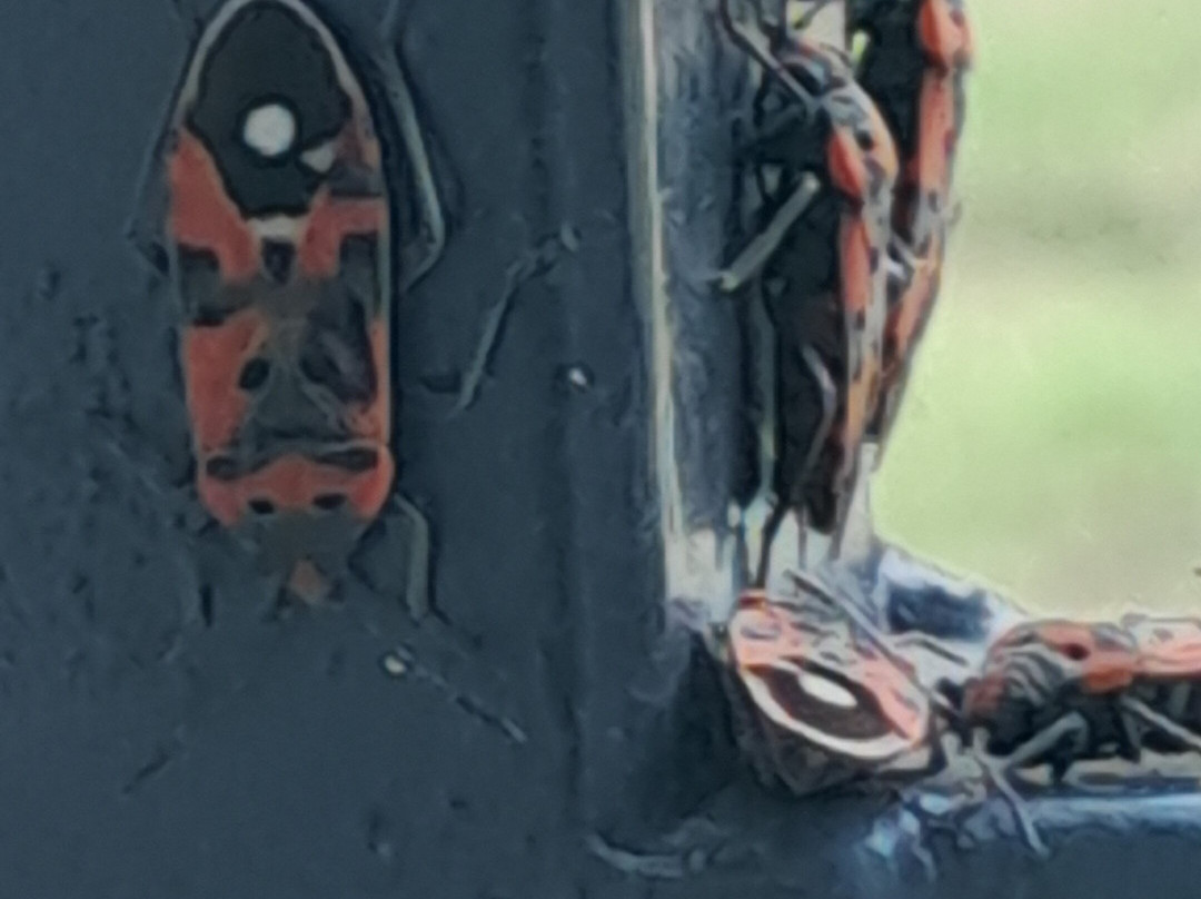 Centro Servizi Orsa Maggiore