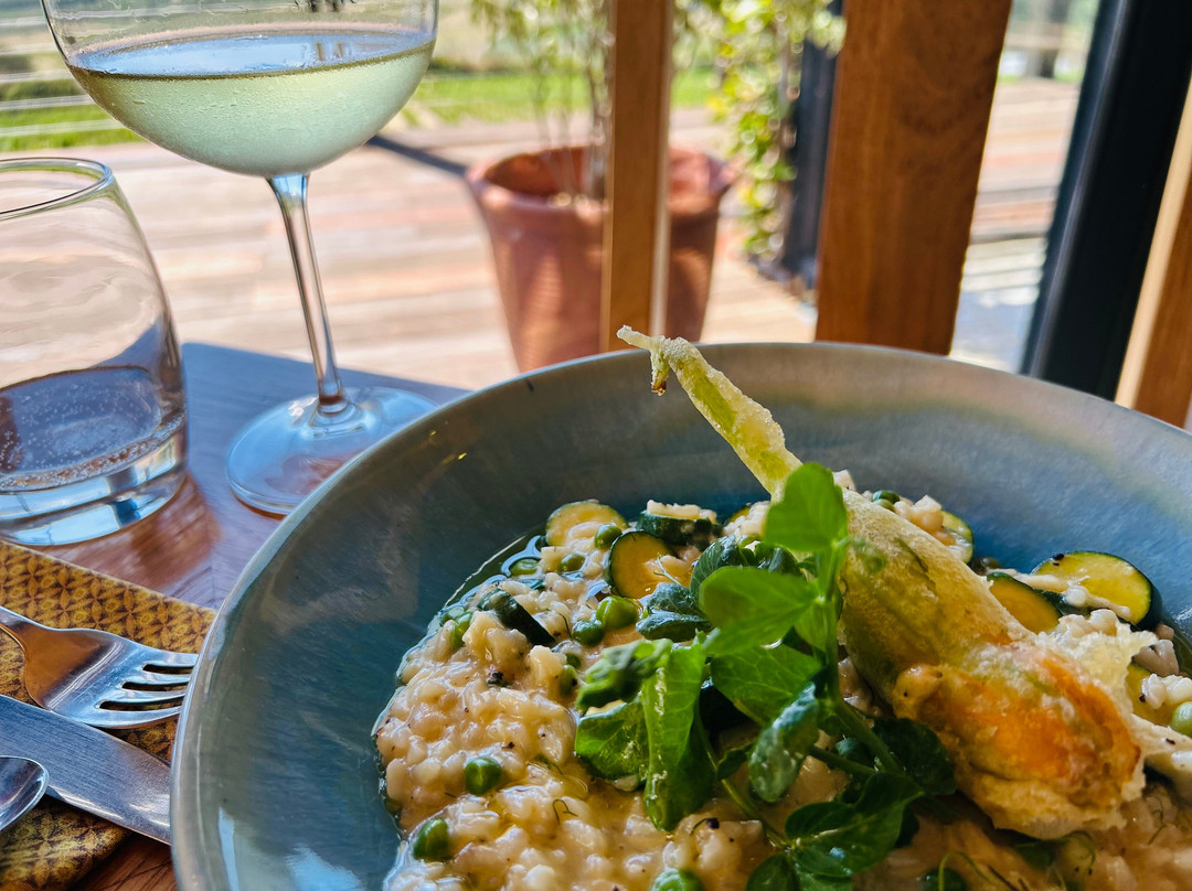 Newton Johnson Family Vineyards-赫曼努斯必去景点