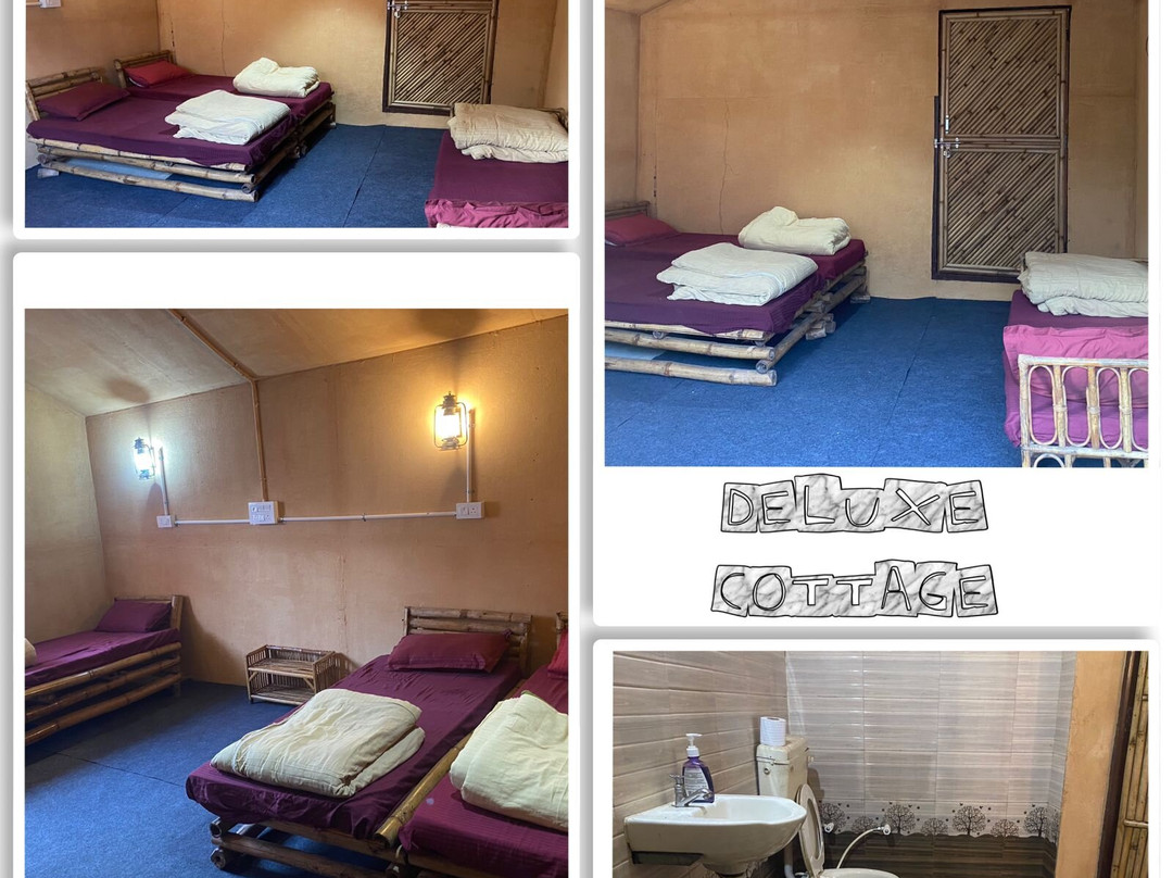 Cradle Of Life Camp By La Foret主图