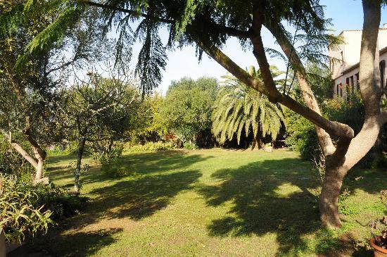 Son Baulo, Kulturfinca主图