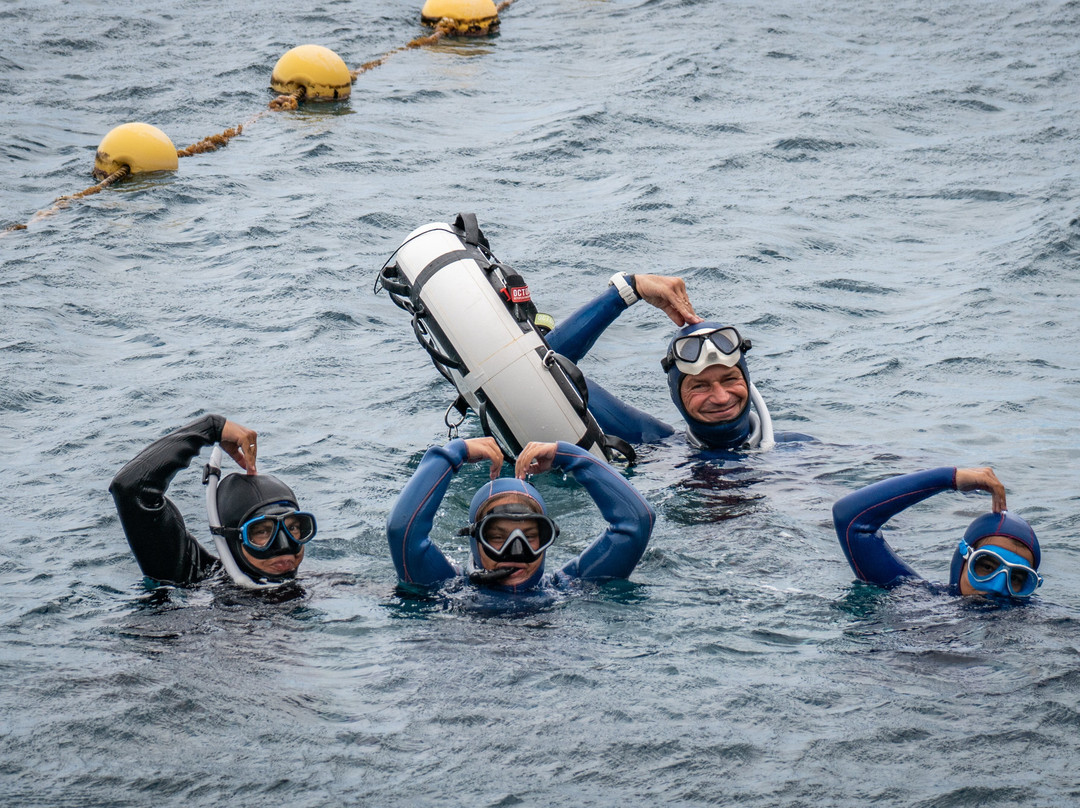 Freediving El Hierro景点图片