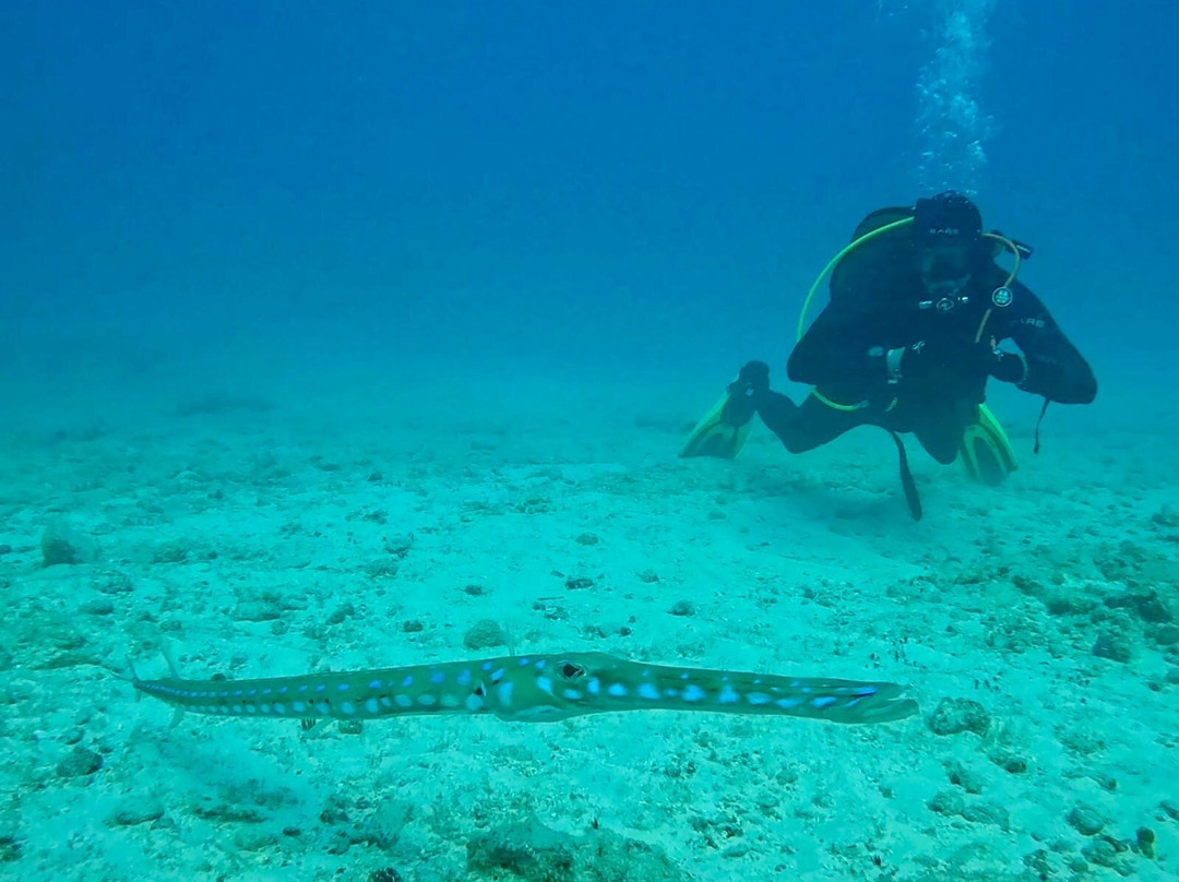 Scubacaribe Boa Vista-博阿维斯塔必去景点