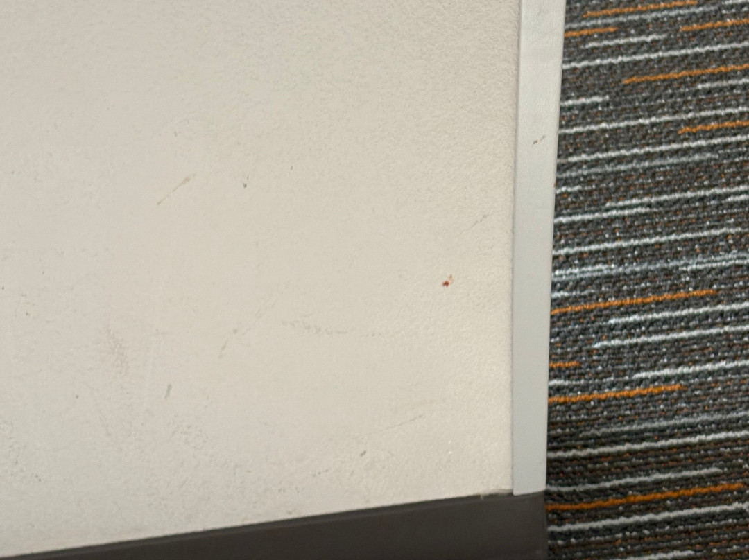 Wingate by Wyndham Loveland主图