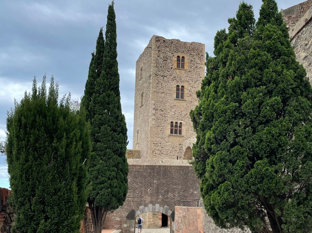 Château Royal de Collioure景点图片