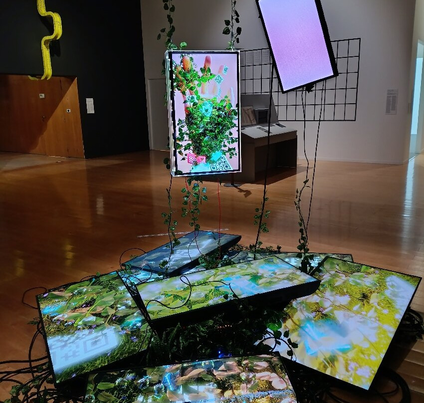 Musée D'art Contemporain De Lyon-里昂必去景点