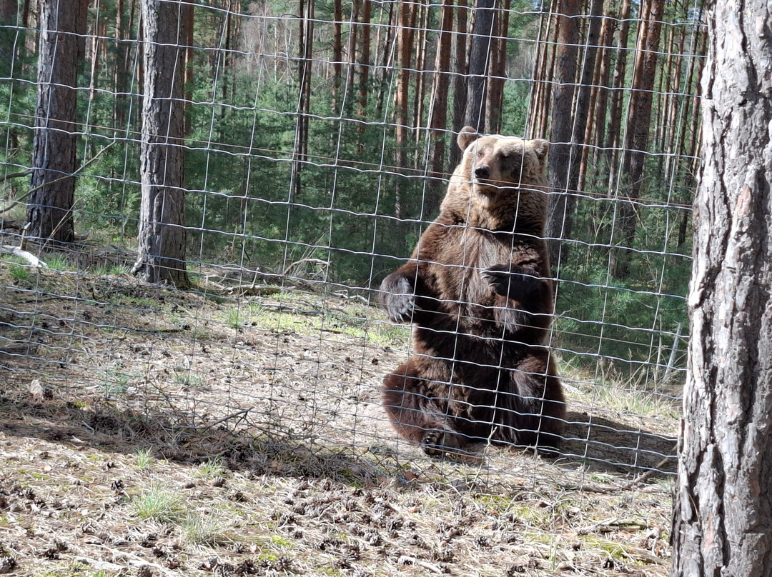 Wildpark Johannismühle-Baruth必去景点