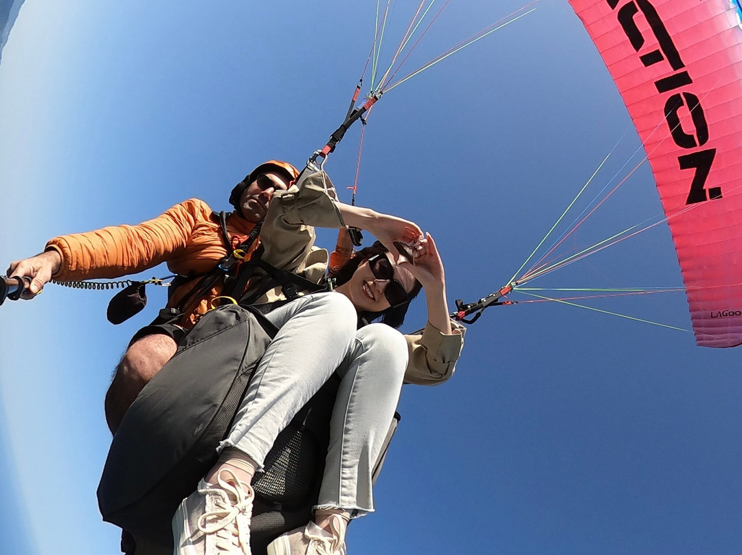 Reaction滑翔伞中心-厄吕代尼兹必去景点