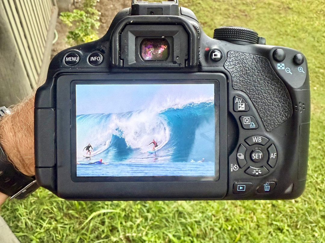 Brothers Surf Tours-纳迪市必去景点