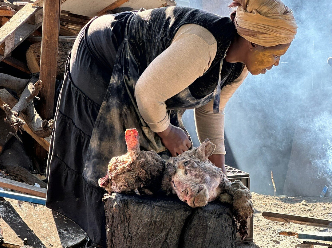 Imzu Tours-Khayelitsha必去景点