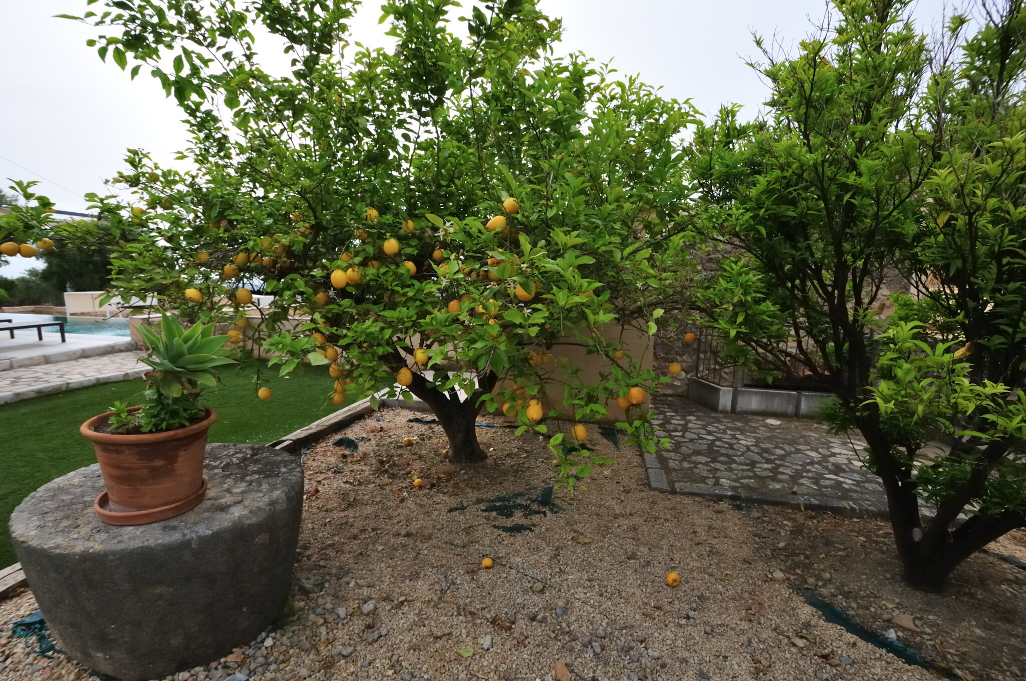 Finca Son Arnau-泳池
