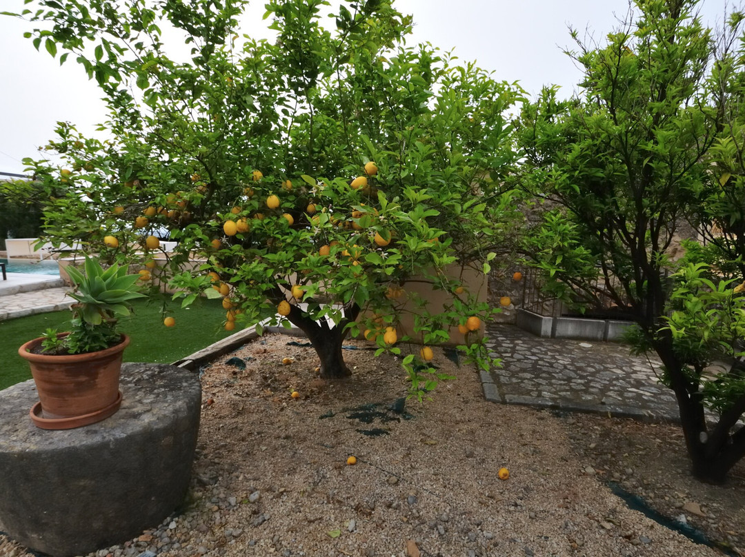 Finca Son Arnau主图