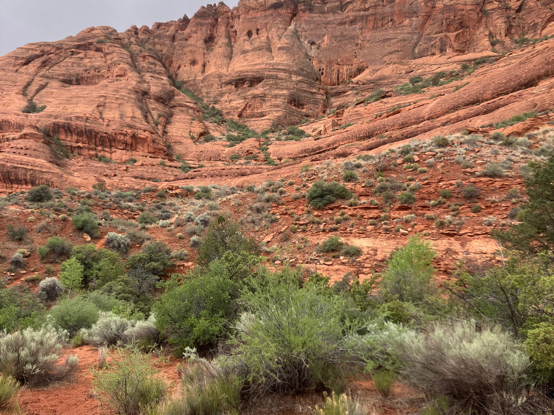 Red Reef Trail-Leeds必去景点