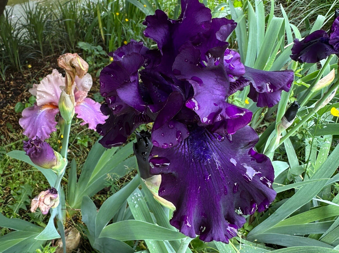 Grayhaven Winery-Gum Spring必去景点