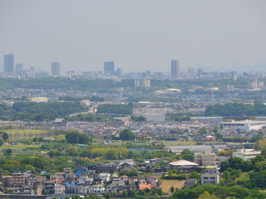 Nanasawa Forest Park-厚木市必去景点