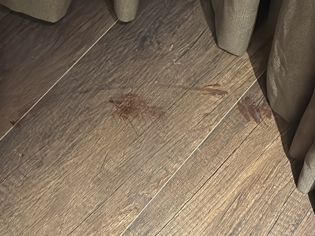 Flamingo Cat Ba Resorts主图