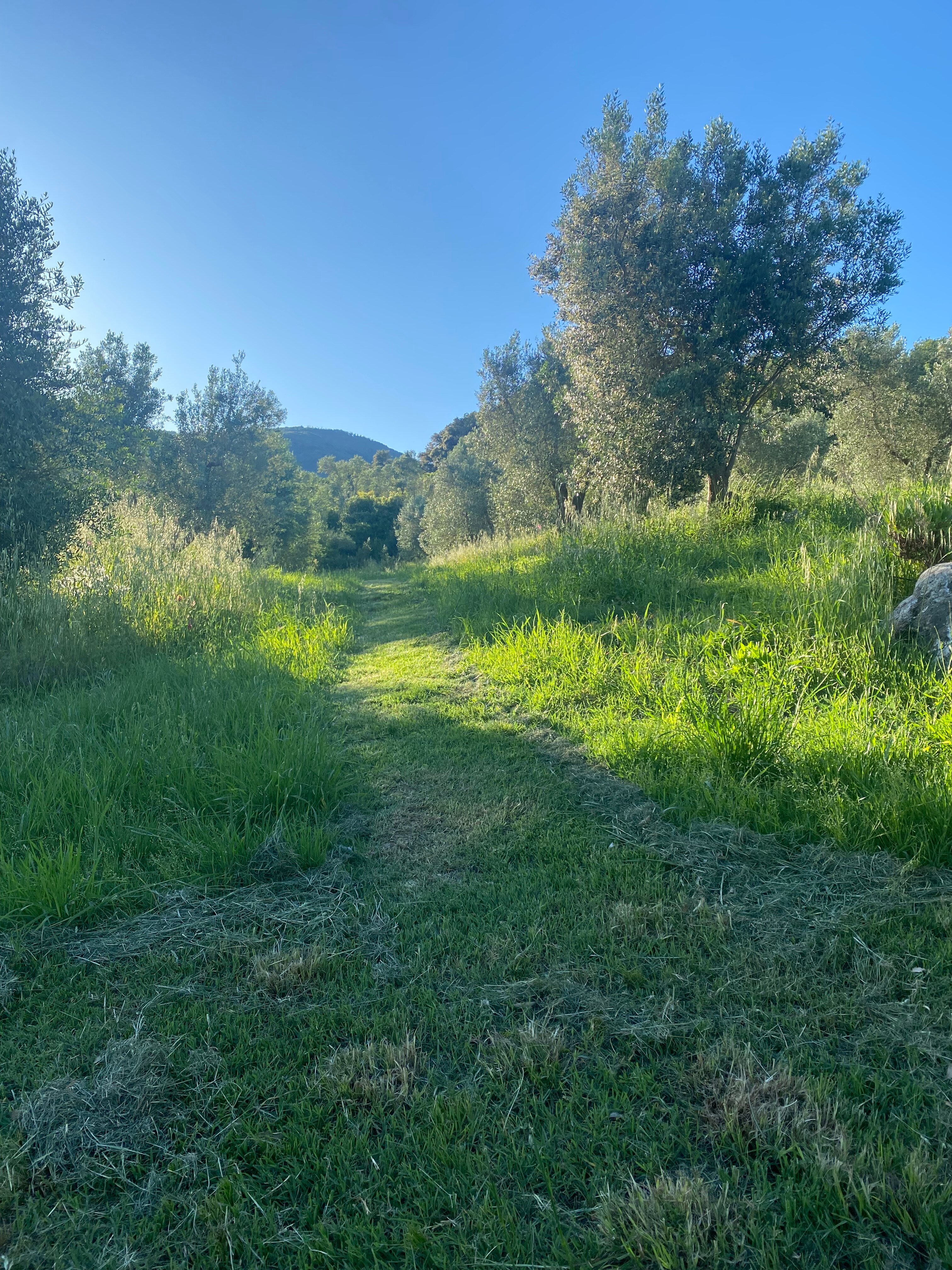 Agriturismo Poggio Diavolino-官方