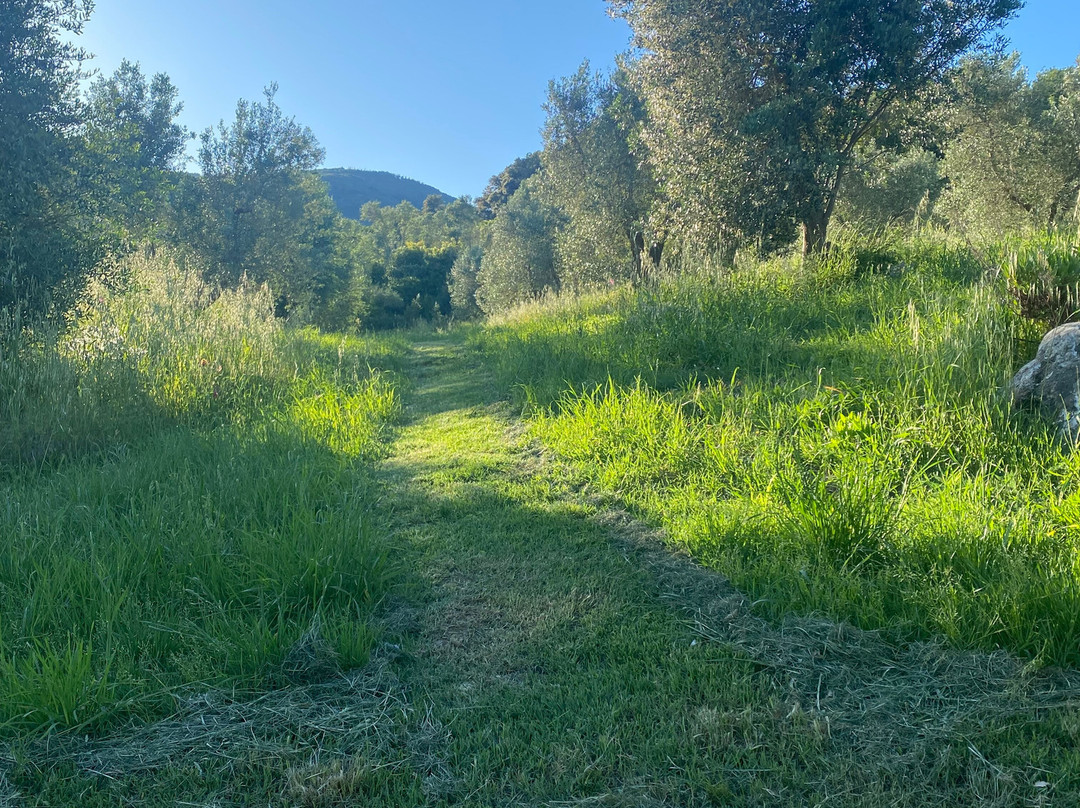 Agriturismo Poggio Diavolino主图