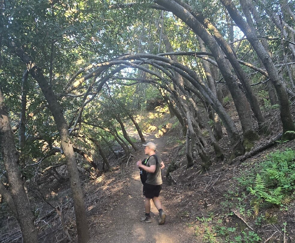 Mount Umunhum-圣何塞必去景点