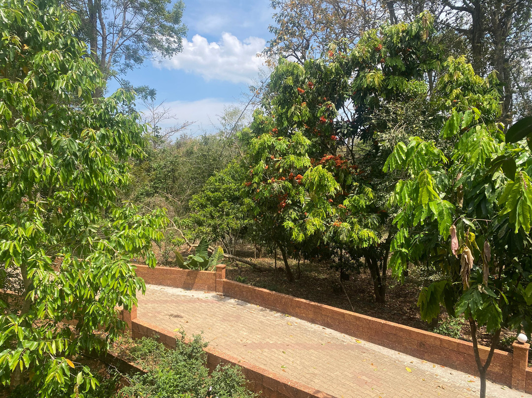 Ayurveda Yoga Villa Group Of Retreat Centres And Hospitals主图