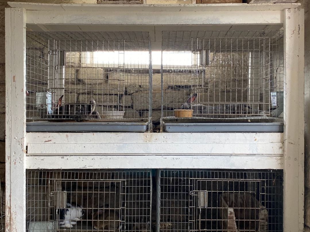 Yoder's Amish Home-Millersburg必去景点