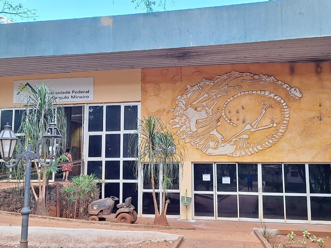 Museu Do Dinossauro景点图片