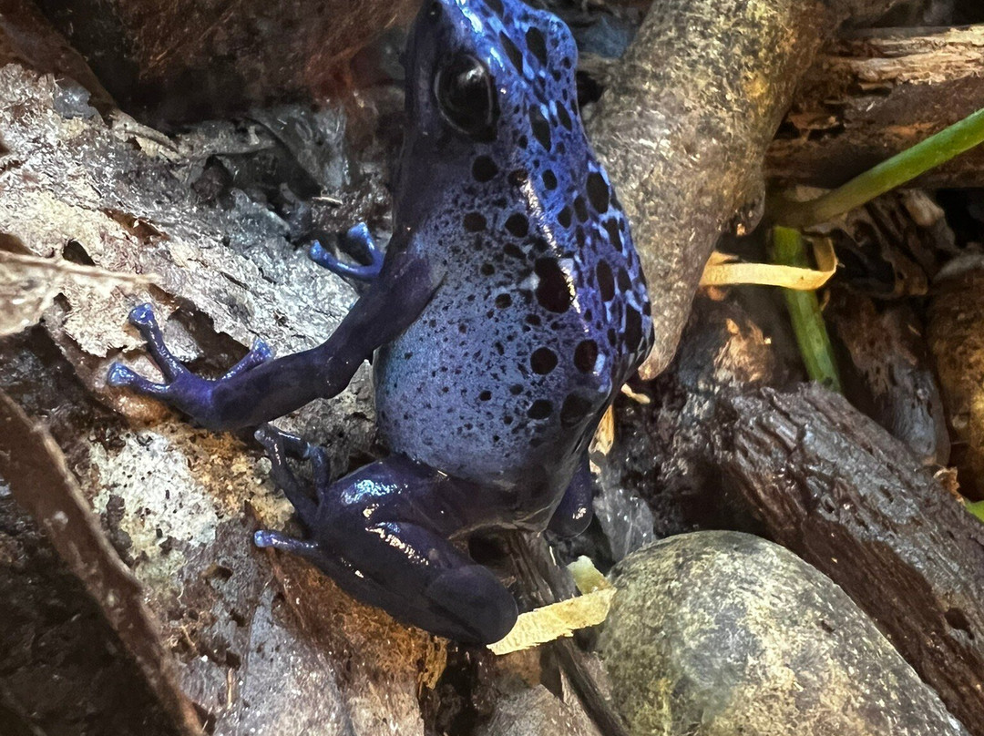 Shaldon Wildlife Trust-Shaldon必去景点