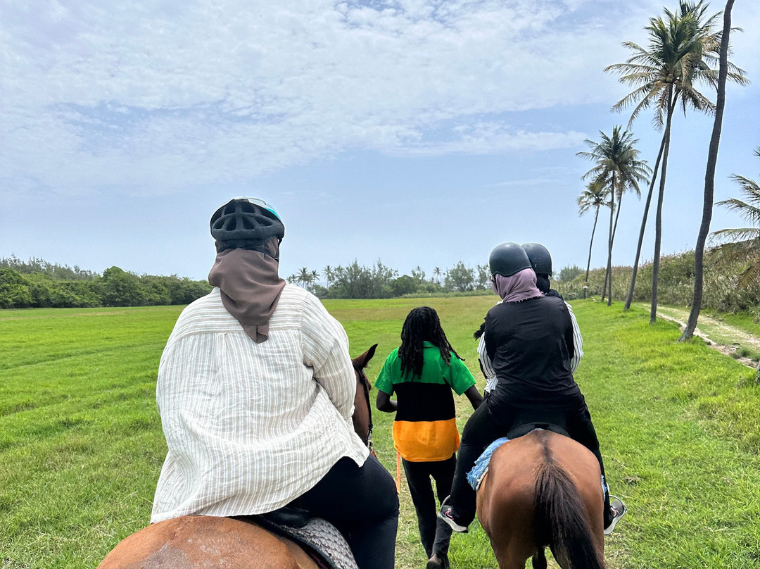 Jah Works Riding Stables-布里奇顿必去景点