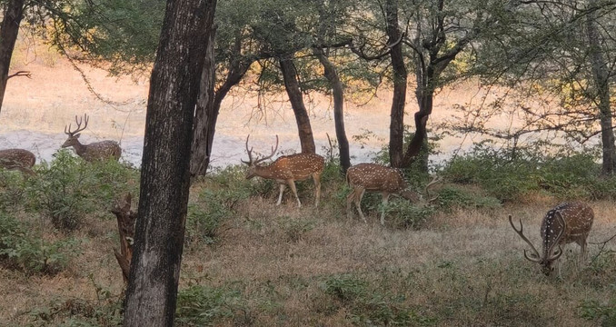 Yeti Outdoors-马苏里必去景点