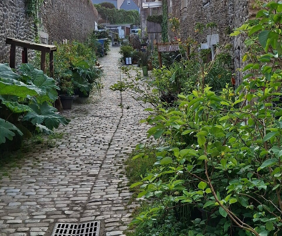 Rue Saint-Malo-布列斯特必去景点